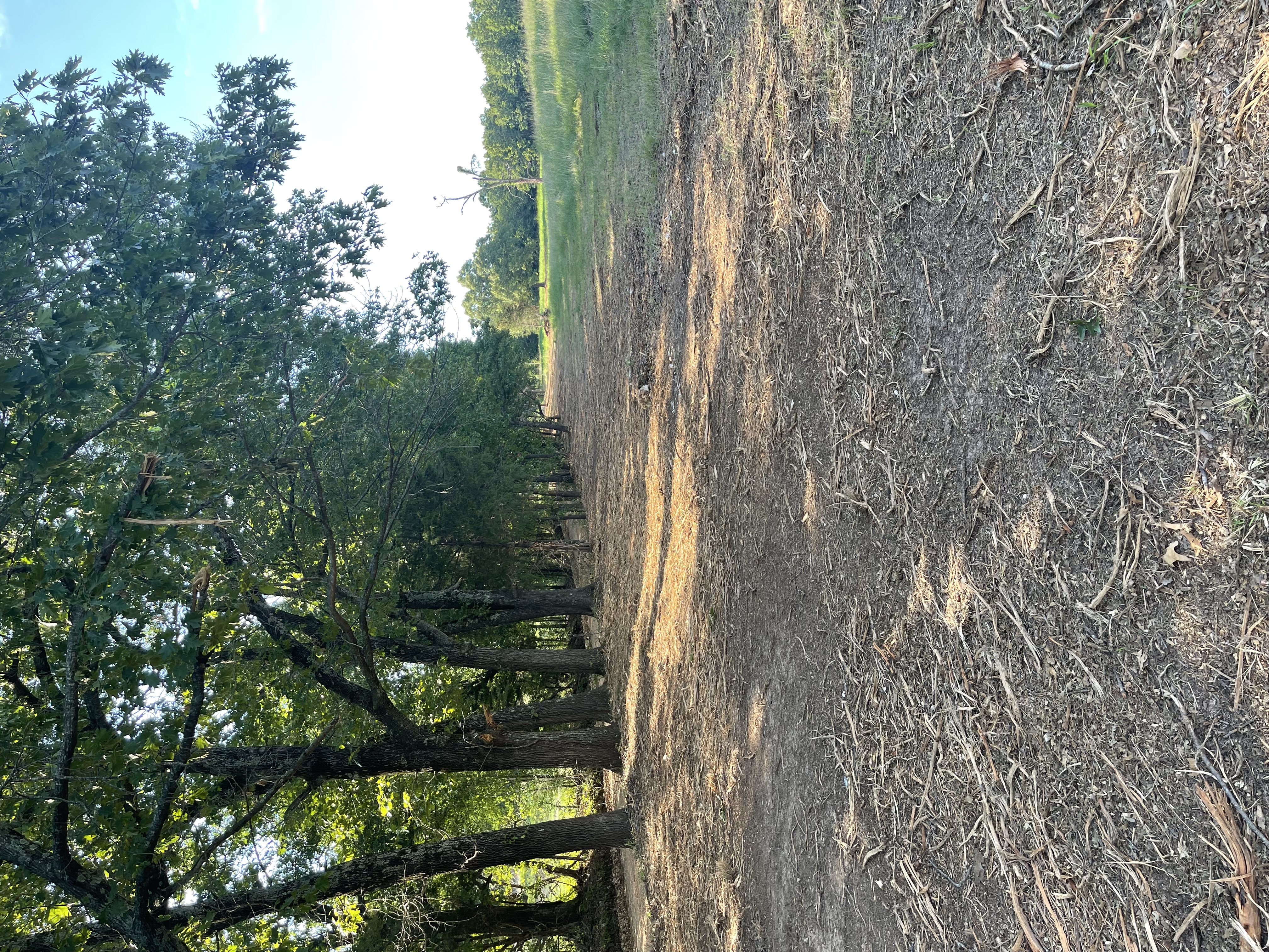 Hilltop Logging & Excavation project photo